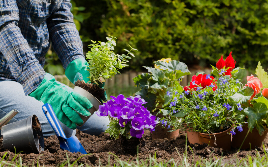 Gardening Safety Tips in Allen, TX | Prevent Strains, Rashes, & Heat-Related Illness