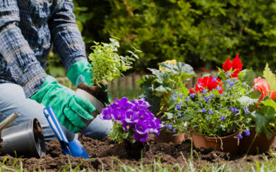Gardening Safety Tips in Allen, TX | Prevent Strains, Rashes, & Heat-Related Illness